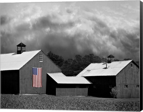 Framed Flags of Our Farmers XV Print