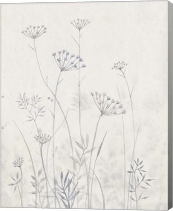 Framed Neutral Queen Anne&#39;s Lace I Print