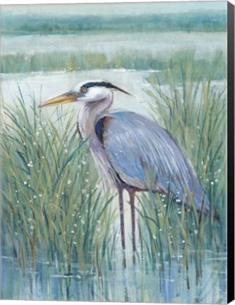 Framed Wetland Heron II Print