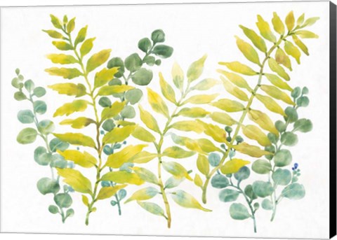 Framed Mixed Greenery II Print