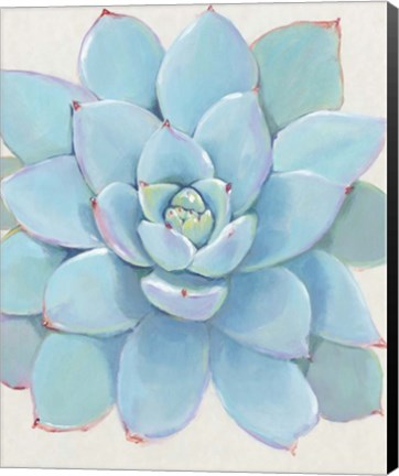 Framed Pastel Succulent I Print