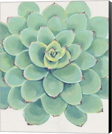 Framed Pastel Succulent III Print