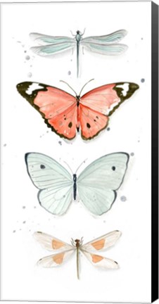 Framed Summer Butterflies I Print