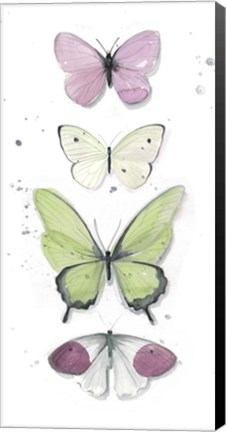 Framed Summer Butterflies II Print