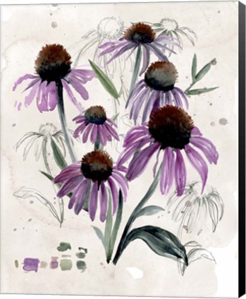 Framed Purple Wildflowers II Print