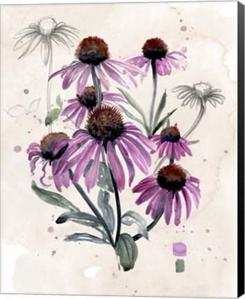 Framed Purple Wildflowers I Print