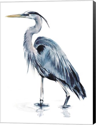 Framed Blue Blue Heron II Print