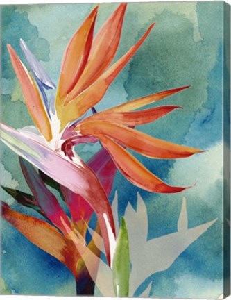 Framed Vivid Birds of Paradise II Print