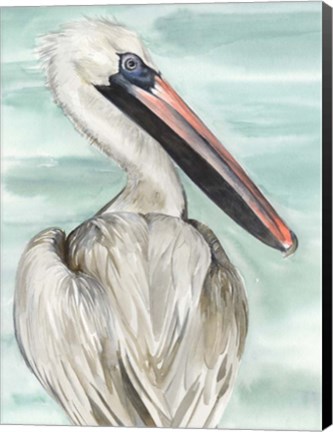Framed Turquoise Pelican I Print