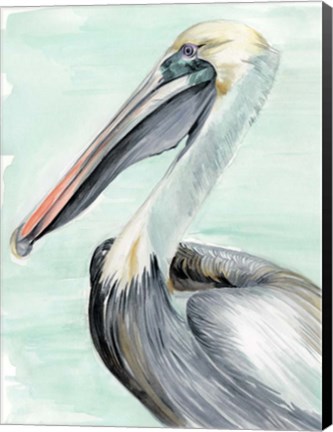 Framed Turquoise Pelican II Print