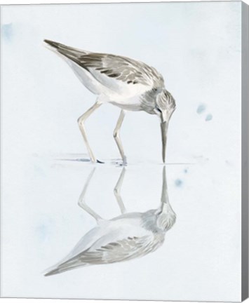 Framed Sandpiper Reflections I Print