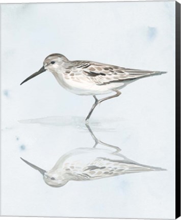 Framed Sandpiper Reflections II Print