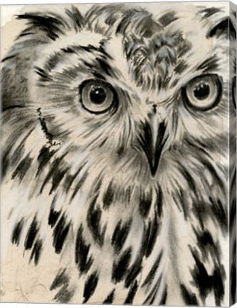 Framed Charcoal Owl I Print