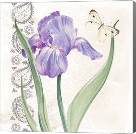 Framed Flowers &amp; Lace III Print