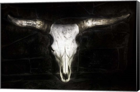 Framed Cow Skull Print