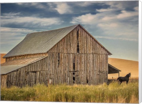 Framed Farm &amp; Field VI Print