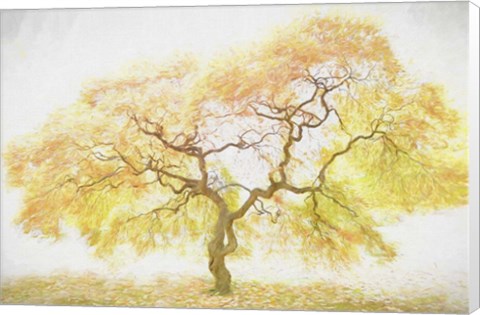 Framed Golden Tree Print