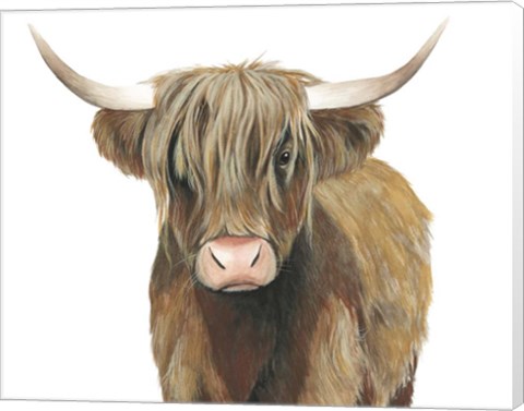 Framed Highland Cattle II Print