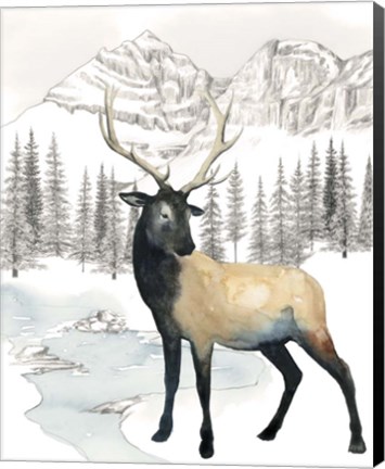 Framed Winter Elk I Print