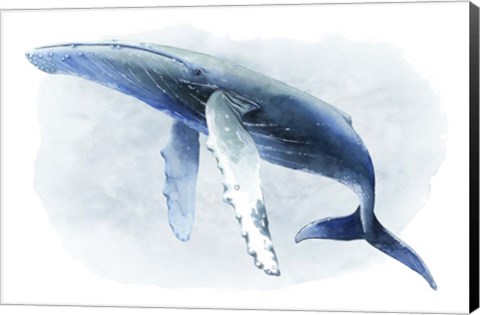 Framed Watercolor Humpback II Print