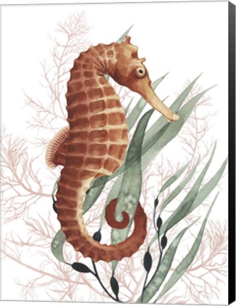 Framed Seahorse Treasures I Print