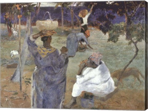 Framed Martinique, 1887 Print
