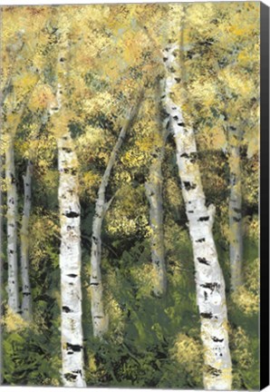 Framed Birch Treeline III Print