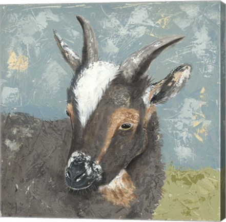 Framed Farm Life-Grey Goat Print