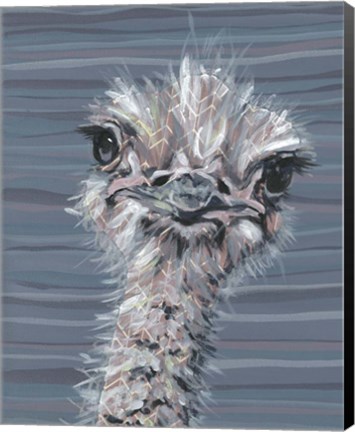Framed Animal Patterns V Print