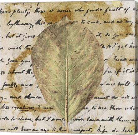 Framed Earth Leaf II Print