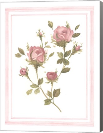 Framed Rose Pattern I Print