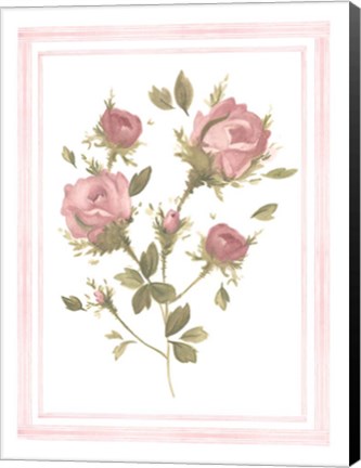 Framed Rose Pattern II Print