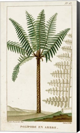 Framed Exotic Palms III Print