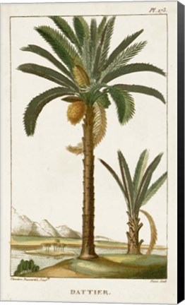 Framed Exotic Palms IV Print