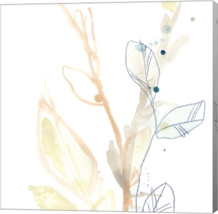 Framed Botany Gesture VIII Print