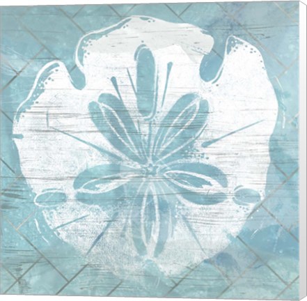 Framed Cerulean Shell IV Print