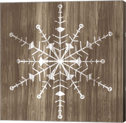 Framed Barnwood Wonderland II Print