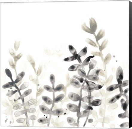 Framed Liquid Stems II Print