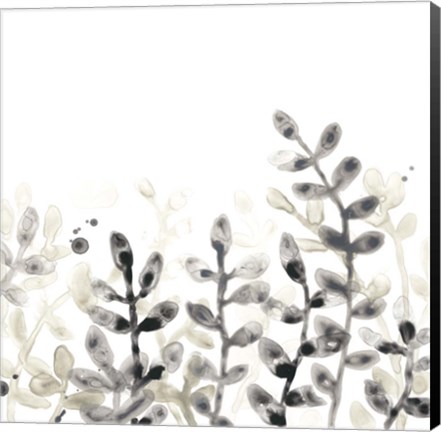 Framed Liquid Stems III Print