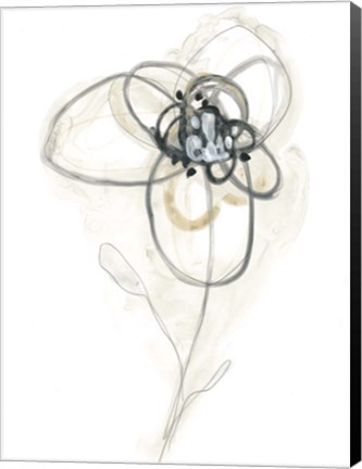 Framed Monochrome Floral Study IV Print