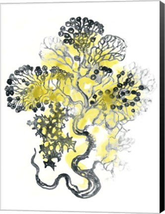 Framed Citron Sea Kelp I Print