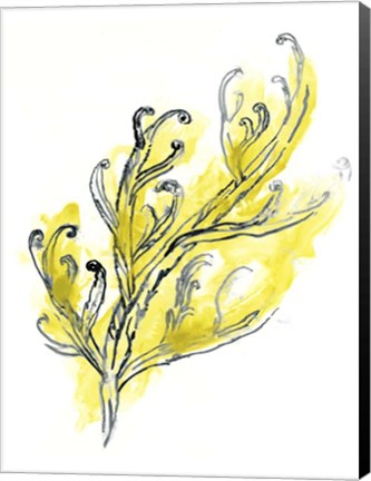 Framed Citron Sea Kelp III Print