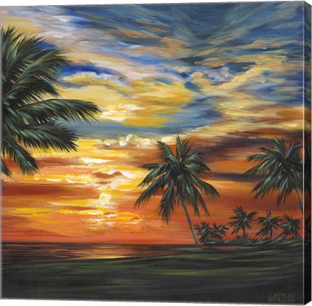 Framed Stunning Tropical Sunset II Print