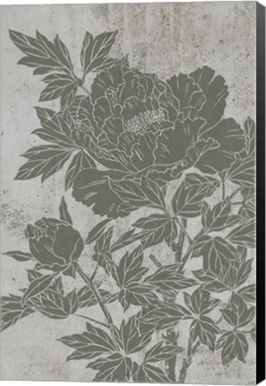 Framed Blooming Peony II Print