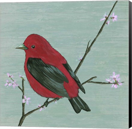 Framed Bird &amp; Blossoms III Print