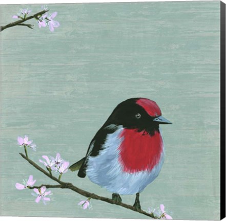 Framed Bird &amp; Blossoms IV Print