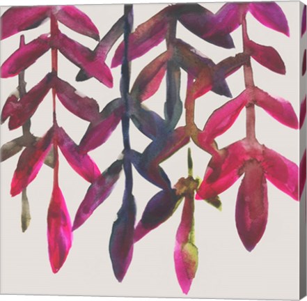 Framed Fuchsia Vine I Print