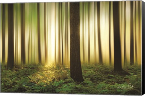Framed Forest in Motion Print