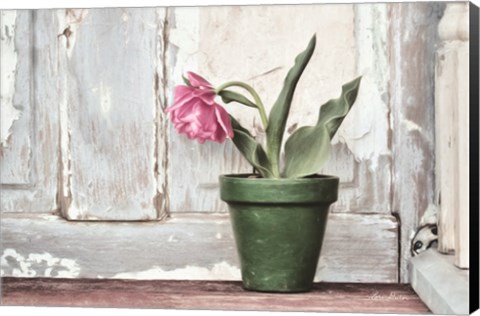 Framed Take a Bow Tulip Print