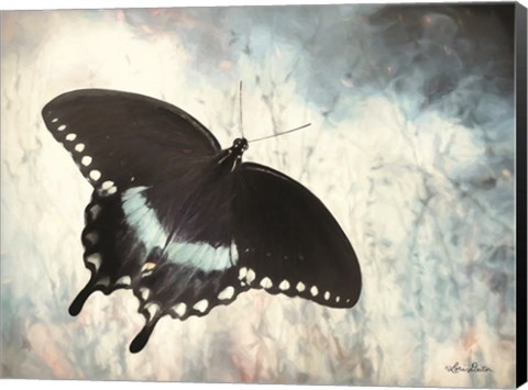Framed Teal Butterfly I Print
